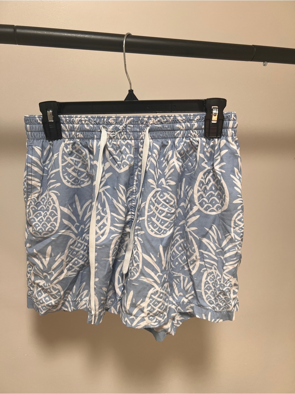 chubbies Light Blue and White Pineapple Swim Trunks